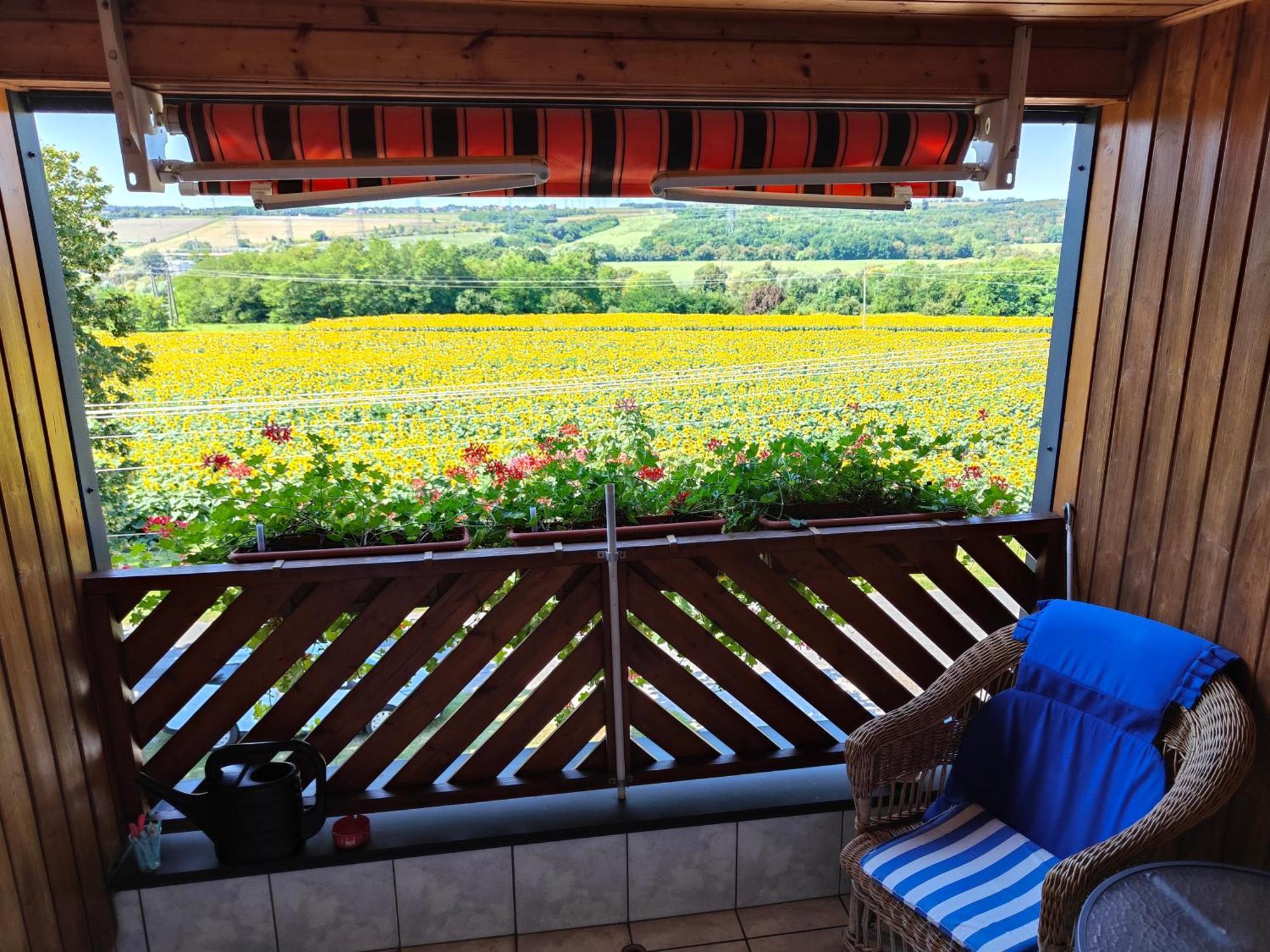 Viola House Otel Hévíz Dış mekan fotoğraf